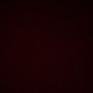 Meet your Posher, Ellen